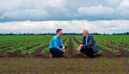 Pairing potatoes with kale, a chip pan or a plot of land: how Agrico & CQM ensure efficient production